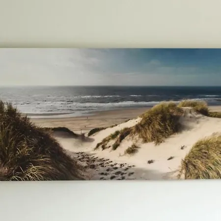 Alea * Westerland